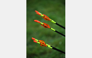 3D des 3 jours jarlandins